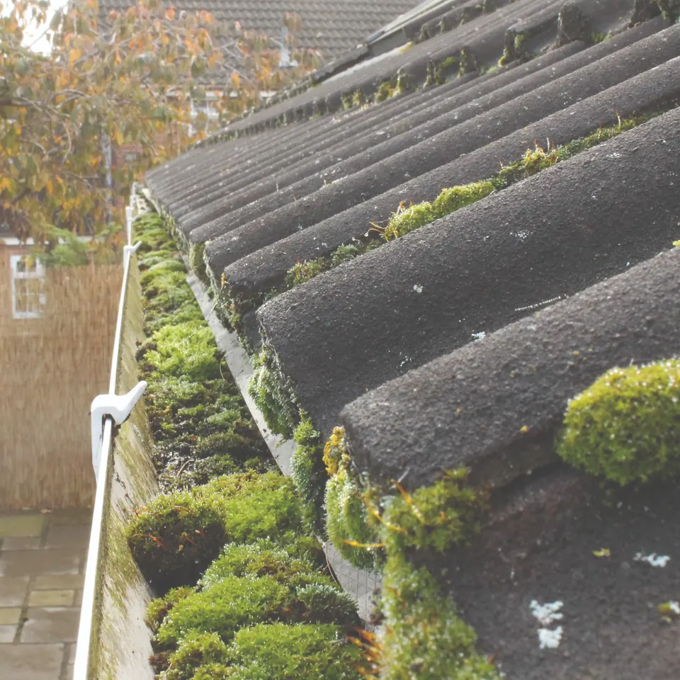 Gutter and roof valley full of moss before cleaning